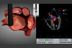 TEE Simulation Software